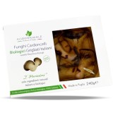Ciuperci BIO la gratar, selectie CARDONCELLI Agrimperiale