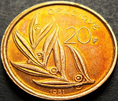 Moneda 20 FRANCI - BELGIA, anul 1981 * cod 1136 foto