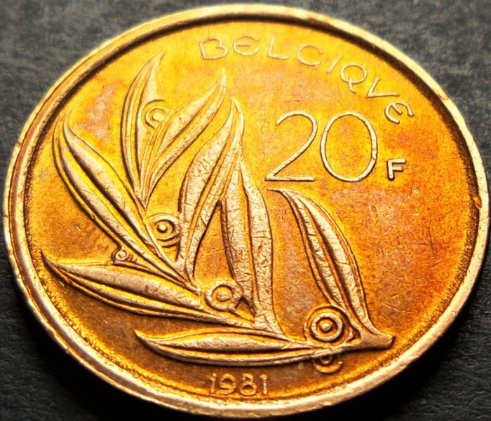 Moneda 20 FRANCI - BELGIA, anul 1981 * cod 1136