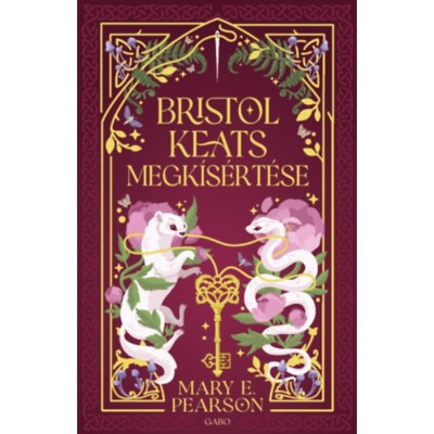 Bristol Keats megk&amp;iacute;s&amp;eacute;rt&amp;eacute;se - Mary E. Pearson foto