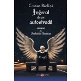 Ingerul de pe autostrada, editia a doua - Cristian Badilita