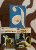 ARCASUL VERDE/SUBSTITUIREA/OMUL DE LA CARLTON-EDGAR WALLACE (3 VOL) POLITISTE