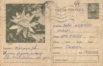 *Romania, Nufar, c.p. circulata intern, 1964 foto