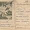 *Romania, Nufar, c.p. circulata intern, 1964