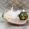 Vas de expansiune OPEL CORSA E 2019 OEM: 13436102,39007213 13620968