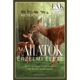 Az &aacute;llatok &eacute;rzelmi &eacute;lete - Szeretet, gy&aacute;sz, egy&uuml;tt&eacute;rz&eacute;s - egy rejtett vil&aacute;g csod&aacute;i - Peter Wohlleben