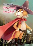 Ce ne invata Motanul incaltat - For You