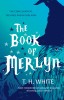 The Book of Merlyn: The Conclusion to the Once and Future King