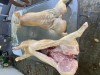 Porci rotisor