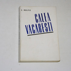 Calea Vacaresti - I. Peltz