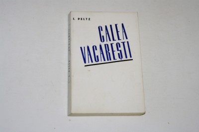 Calea Vacaresti - I. Peltz foto