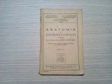 ANATOMIA SI FIZIOLOGIA OMULUI - Coralia Vernescu - 1946, 111 p., Alta editura