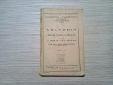 ANATOMIA SI FIZIOLOGIA OMULUI - Coralia Vernescu - 1946, 111 p., Alta editura