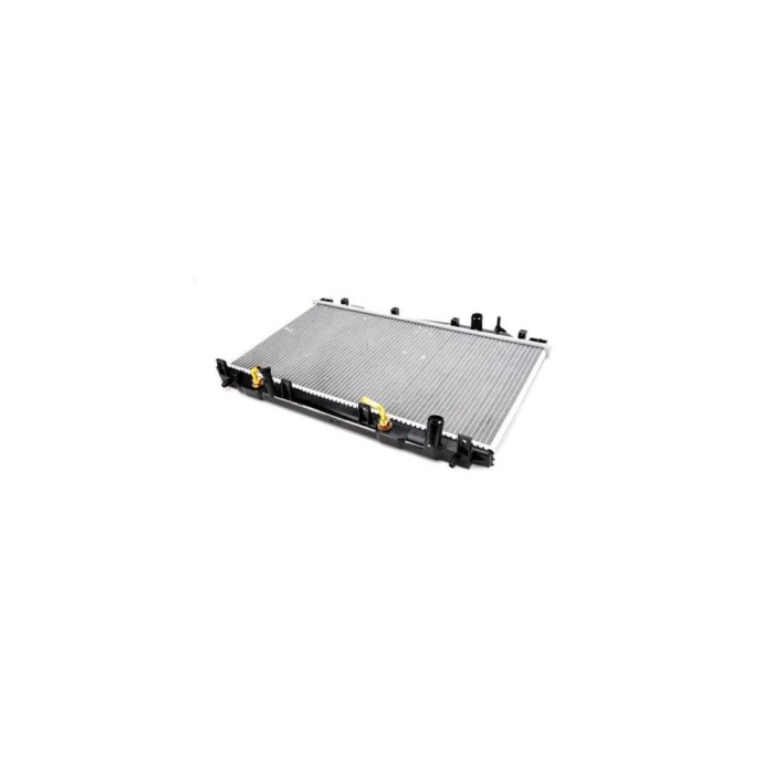 Radiator Apa Honda Civic Vii Cupe Em2 Denso Drm40008
