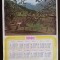 NI360 Calendar de perete ADAS 1981