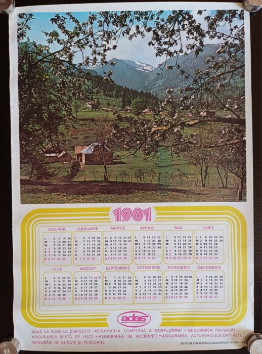 NI360 Calendar de perete ADAS 1981
