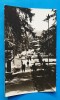 Carte Postala circulata veche Slanic Moldova, Sinaia, Printata