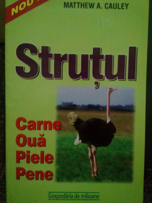 Matthew A. Cauley - Strutul (Editia: 2001) foto