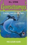 Necazuri mari - R.L. Stine, Roxana Moisin