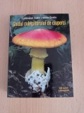 Locsmandi Csaba - Ghidul culegatorului de ciuperci