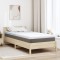 vidaXL Păturile pentru saltea Alb 100 x 200 cm