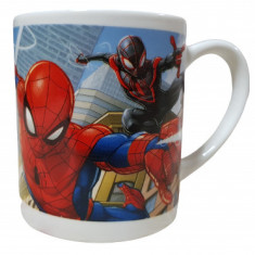 Cana ceramica Spiderman