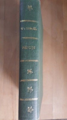 Nepotii roman- WIlli Bredel foto