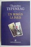 Un roman la Paris - Dumitru Tepeneag