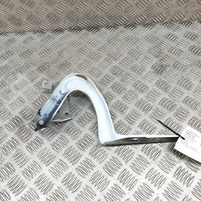 Balama capota dreapta față TESLA MODEL Y 2022 OEM: 1496268-00-C 25310382