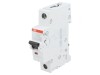 &Icirc;ntrerupător de supracurent 13A 1P 230V B