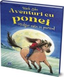 Aventuri cu ponei - Fulger este &icirc;n pericol - Hardcover - Usch Luhn - Didactica Publishing House