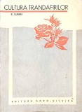 Cultura Trandafirilor - E. Luban (1967) - Editura Agro-Silvica - Carte Biologie, Gradinarit, Botanica - 174 Pagini - Romana