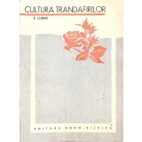 Cultura trandafirilor-E. LUBAN-266872