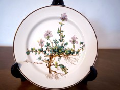 Farfurie mic dejun porțelan Villeroy Boch Botanica