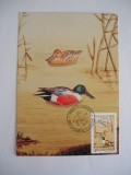 C12 - maxima Romania - tematica pasari 5 - prima zi a emisiunii sau expozitii, Romania de la 1950, Fauna