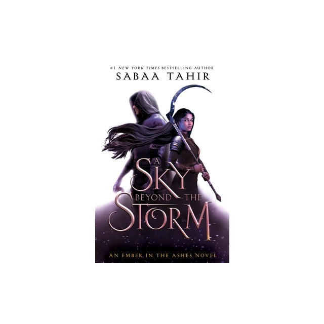 A Sky Beyond the Storm