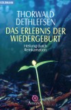 Das erlebnis der wiedergeburt