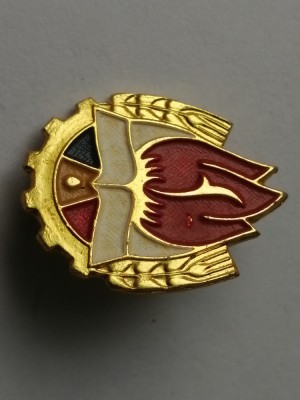 bnk ins Insigna Pionier - aluminiu vopsit foto