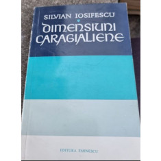 Silvian Iosifescu - Dimensiuni Caragialiene