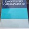 Silvian Iosifescu - Dimensiuni Caragialiene