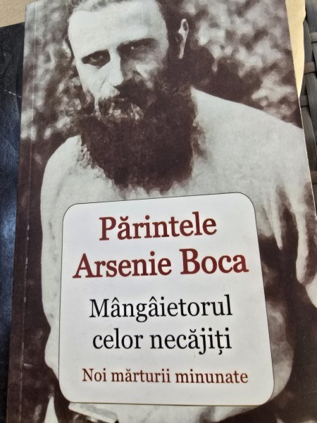 Parintele Arsenie Boca, mangaietorul celor necajiti. Noi marturii minunate - Vlad Herman