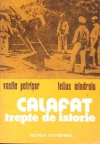 Calafat Trepte de Istorie - Vasile Petrisor, Lelius Mindroiu - Editura Scrisul Romanesc 1977 - Carte Istorie Romania