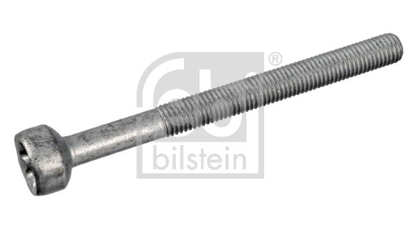 FEBI BILSTEIN 172930 Surub, suport injector