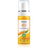 Himalaya Herbals Dark Spot Clearing spuma de curatat faciale kurkuma 150 ml