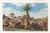 FA124 -Carte Postala- MAROC - Tafraout, dans l'Anti-Atlas, circulata
