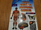 TESTE GRILA DE ANATOMIA OMULUI - Cl. a VII -a - Emilia Preutu - 2002, 236 p., Clasa 7, Stiintele Naturii, Auxiliare scolare