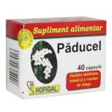 Paducel, 40 capsule, Hofigal