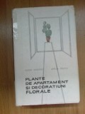 E4 PLANTE DE APARTAMENT SI DECORATIUNI FLORALE - EUGEN SADOFSKY