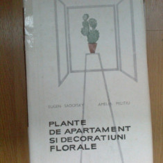 e4 PLANTE DE APARTAMENT SI DECORATIUNI FLORALE - EUGEN SADOFSKY