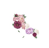 Sticker Autocolant, Flori Decorative Bujori, Roz, Multicolor, CBD CORAL BEST DEALS Roz opac 40 cm 60 cm 40 cm Roz opac 1 Folie